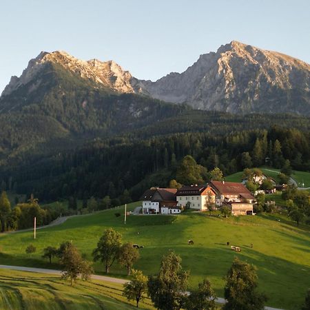 Singerskogel - Ferienhof Und Jausnstub'N Шпиталь-ам-Пихрн Экстерьер фото