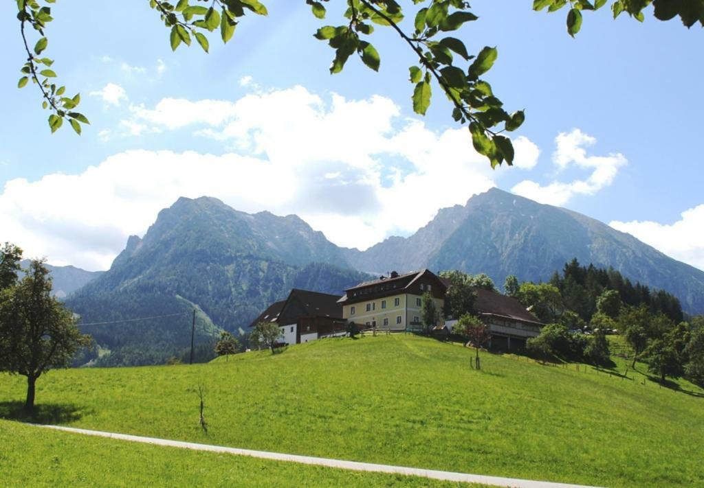 Singerskogel - Ferienhof Und Jausnstub'N Шпиталь-ам-Пихрн Экстерьер фото